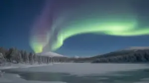 biale noce w norwegii