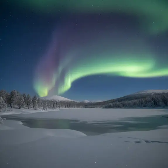 biale noce w norwegii