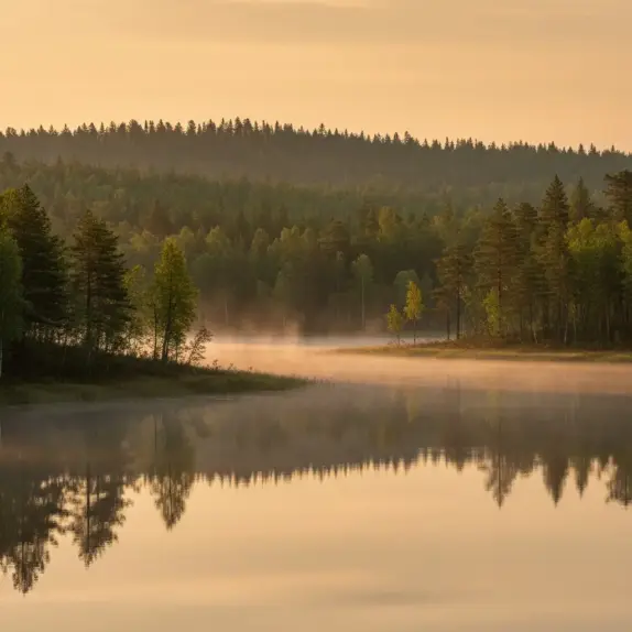 finlandia ludnosc